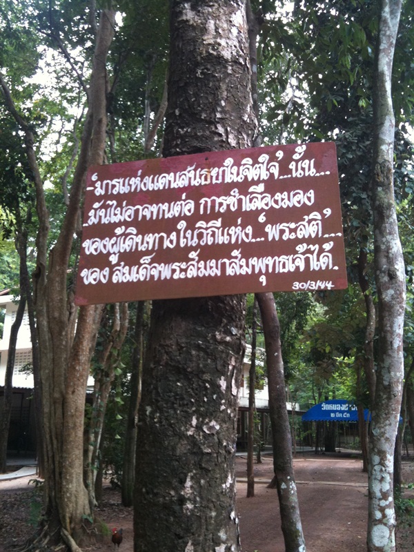 ธรรมะ หลวงปู่ชา สุภัทโธ วัดหนองป่าพง