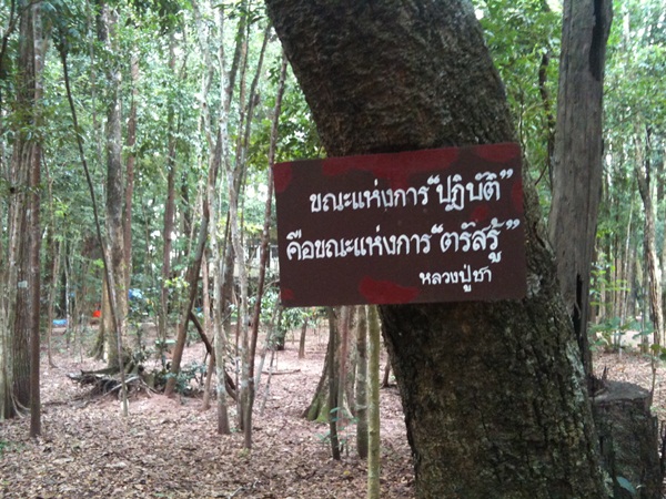 ธรรมะ หลวงปู่ชา สุภัทโธ วัดหนองป่าพง