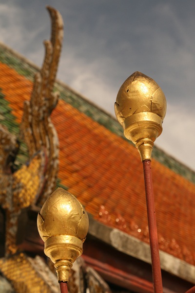 งานแห่ผ้าขึ้นพระธาตุ วัดพระมหาธาตุวรมหาวิหาร จ.นครศร