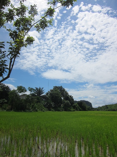 วัดพุทธอุทยานดอยอินทรีย์ เชียงราย