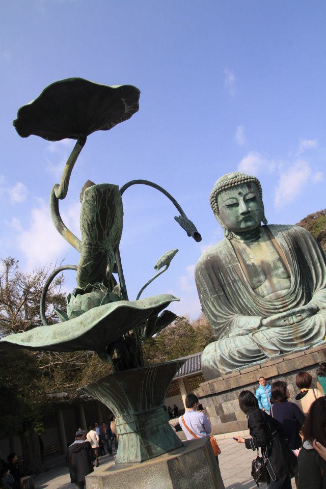 daibutsu Kamakura Japan พระใหญ่ ไดบุตสี คามากุระ ญี่ปุ่น