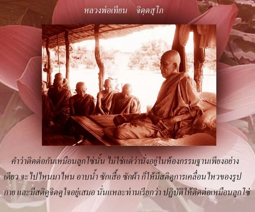 หลวงพ่อเทียน จิตฺตสุโภ (วัดสนามใน)